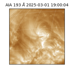 saia - 2025-03-01T19:00:04.843000