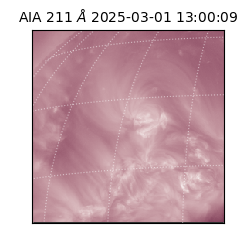 saia - 2025-03-01T13:00:09.632000