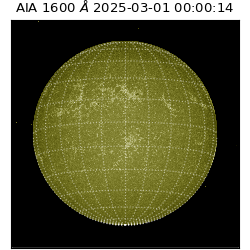 saia - 2025-03-01T00:00:14.126000