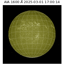 saia - 2025-03-01T17:00:14.126000