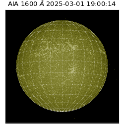 saia - 2025-03-01T19:00:14.126000