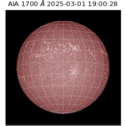 saia - 2025-03-01T19:00:28.717000
