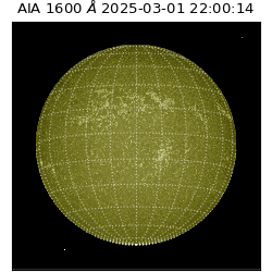 saia - 2025-03-01T22:00:14.118000