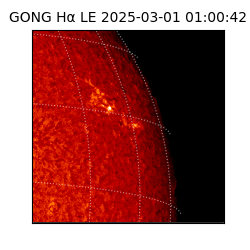 gong - 2025-03-01T01:00:42