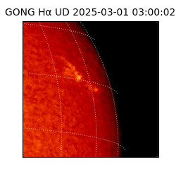 gong - 2025-03-01T03:00:02