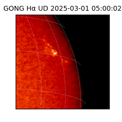 gong - 2025-03-01T05:00:02