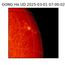 gong - 2025-03-01T07:00:02