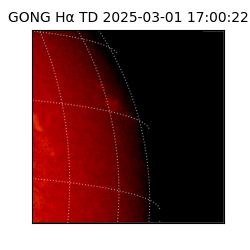 gong - 2025-03-01T17:00:22