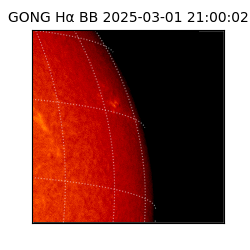 gong - 2025-03-01T21:00:02