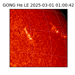 gong - 2025-03-01T01:00:42