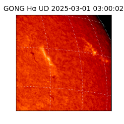 gong - 2025-03-01T03:00:02