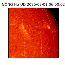gong - 2025-03-01T06:00:02