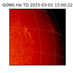gong - 2025-03-01T15:00:22