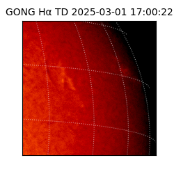 gong - 2025-03-01T17:00:22