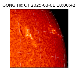 gong - 2025-03-01T18:00:42