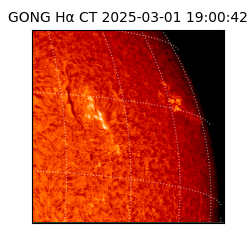 gong - 2025-03-01T19:00:42
