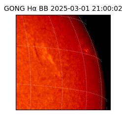 gong - 2025-03-01T21:00:02