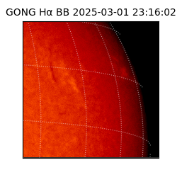 gong - 2025-03-01T23:16:02