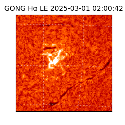 gong - 2025-03-01T02:00:42