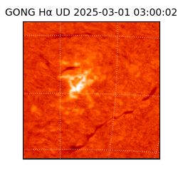 gong - 2025-03-01T03:00:02