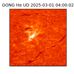 gong - 2025-03-01T04:00:02