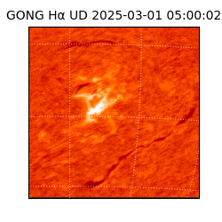 gong - 2025-03-01T05:00:02
