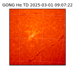 gong - 2025-03-01T09:07:22