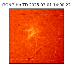 gong - 2025-03-01T14:00:22