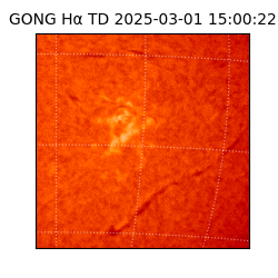 gong - 2025-03-01T15:00:22