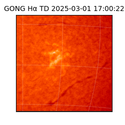 gong - 2025-03-01T17:00:22