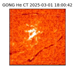 gong - 2025-03-01T18:00:42