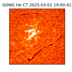 gong - 2025-03-01T19:00:42