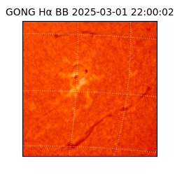 gong - 2025-03-01T22:00:02