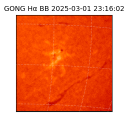gong - 2025-03-01T23:16:02