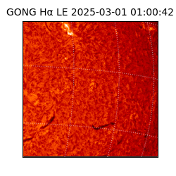 gong - 2025-03-01T01:00:42