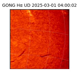 gong - 2025-03-01T04:00:02