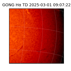 gong - 2025-03-01T09:07:22