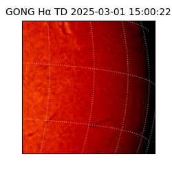 gong - 2025-03-01T15:00:22