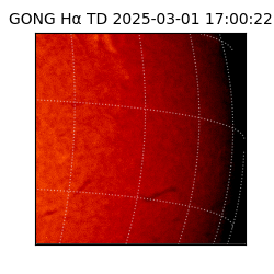 gong - 2025-03-01T17:00:22