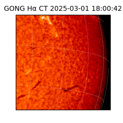 gong - 2025-03-01T18:00:42