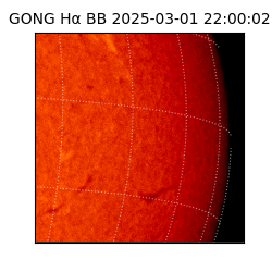 gong - 2025-03-01T22:00:02