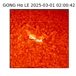 gong - 2025-03-01T02:00:42