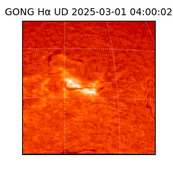gong - 2025-03-01T04:00:02