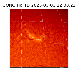 gong - 2025-03-01T12:00:22
