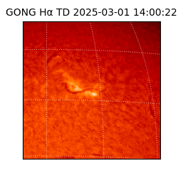 gong - 2025-03-01T14:00:22
