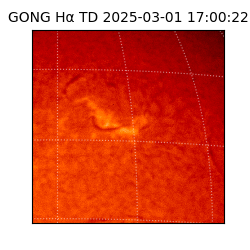 gong - 2025-03-01T17:00:22