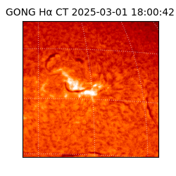 gong - 2025-03-01T18:00:42