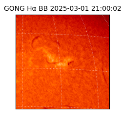 gong - 2025-03-01T21:00:02