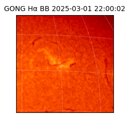 gong - 2025-03-01T22:00:02