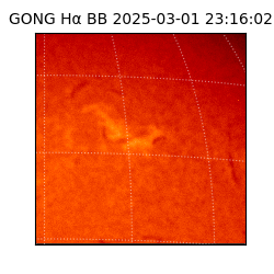 gong - 2025-03-01T23:16:02